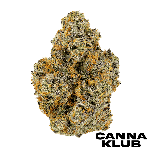 ZEREAL 7G LIVING SOIL ORGANIC SHAKE at Canna Klub Rose City, Recreational Marijuana Dispensary