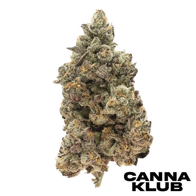 BANANA RICKSCOTTI 3.5G
