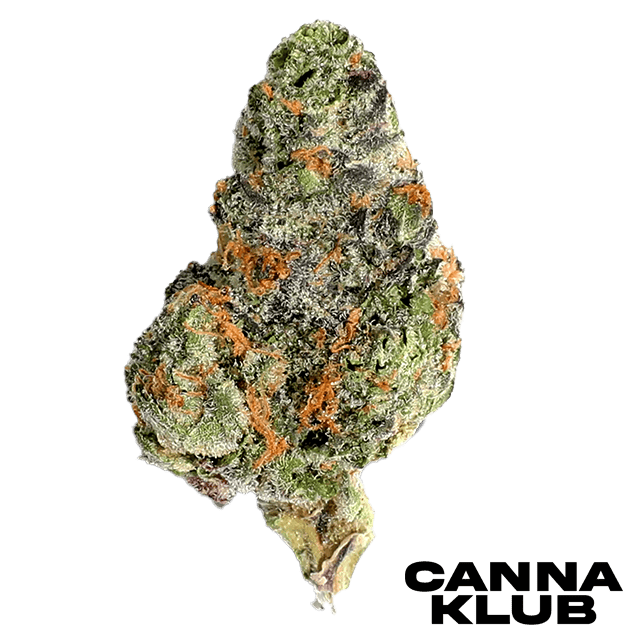 CHEDDAR CHEESE 3.5G at Canna Klub Rose City, Recreational Marijuana Dispensary