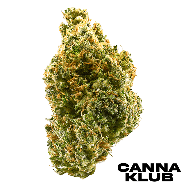 TANGIE 3.5G