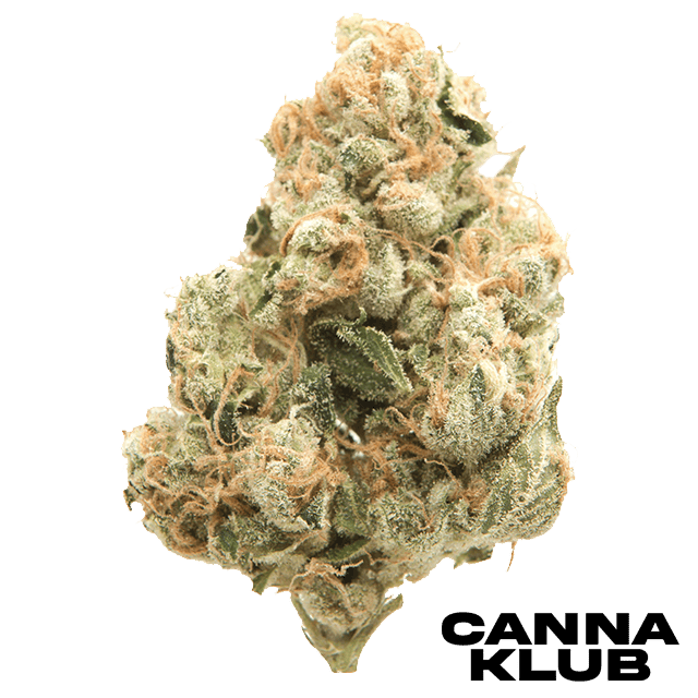 SUNFIRE SOUR DIESEL 28G SUNKISSED LIVING SOIL ORGANIC *2 FOR 80*