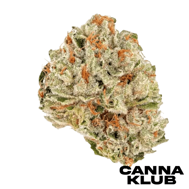 SOUR DELUXE PUNCH 28G SUNKISSED LIVING SOIL ORGANIC *2 FOR 80*