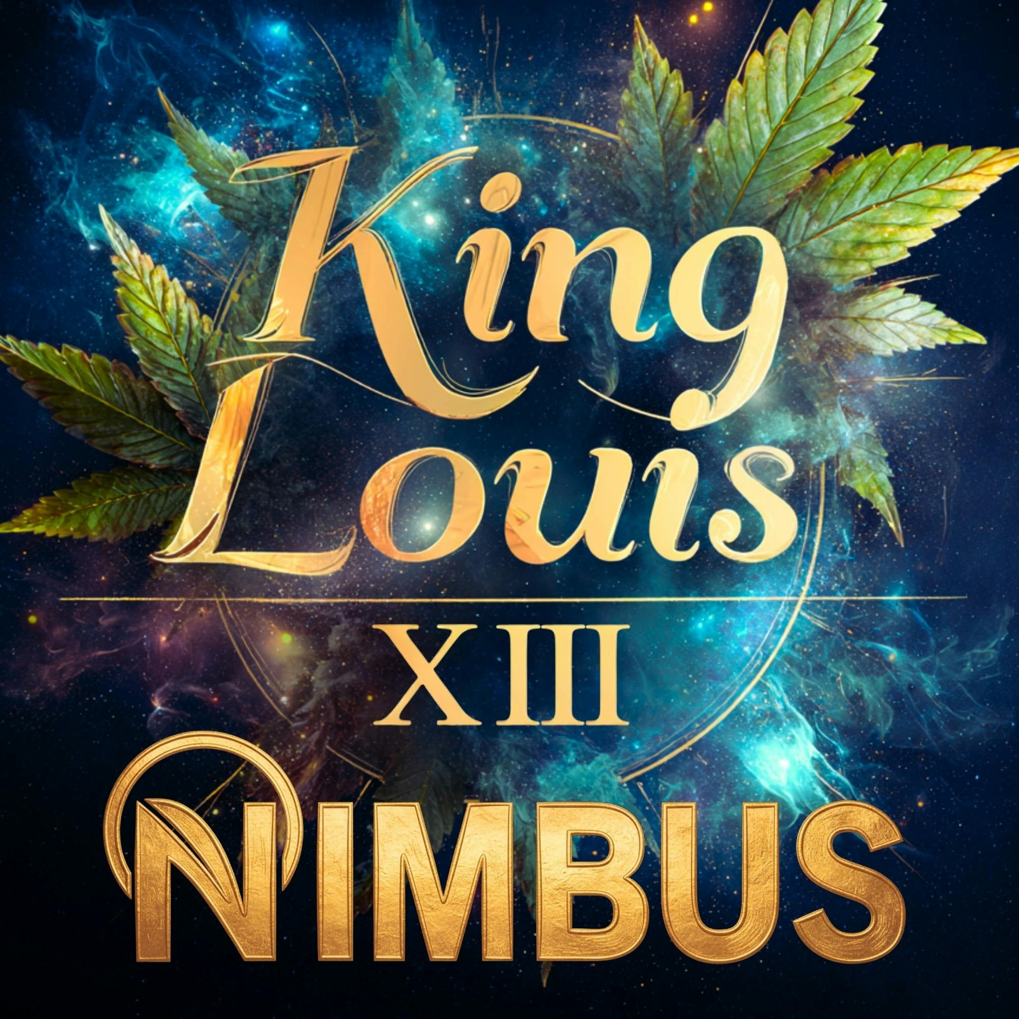 All-In-One | King Louis XIII