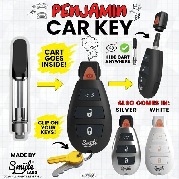 PENJAMIN - CAR KEY FOB 510 BATTERY ($28)