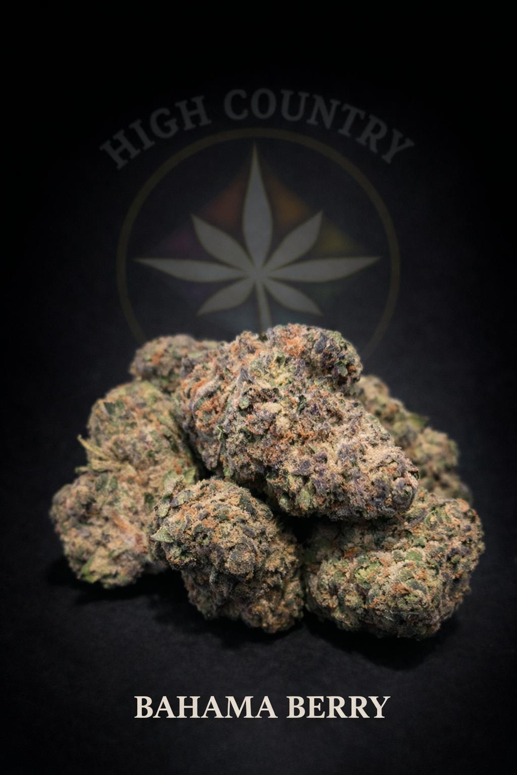 BAHAMA BERRY BUD
