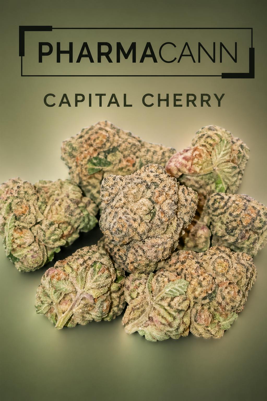 CAPITAL CHERRY BUD