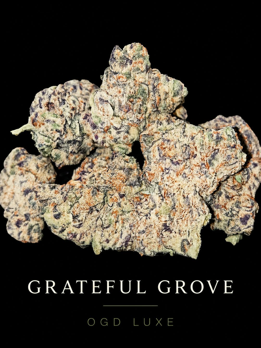 ODG LUX BUD