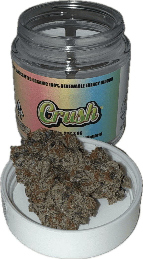 Clarkies — Crush