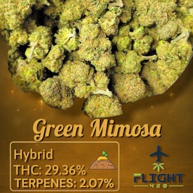 Crystal Infinity Green Mimosa Flower 29.36% H