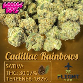 Bodega Boyz Cadillac Rainbow Flower 30.07% H S