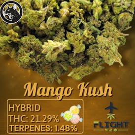 Black Cat Farms Mango Kush Flower 21.29% H