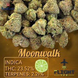 KindLove Moonwalk Flower 23.52% I