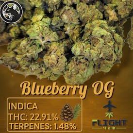 Black Cat Farms Blueberry OG Flower 22.91% H I