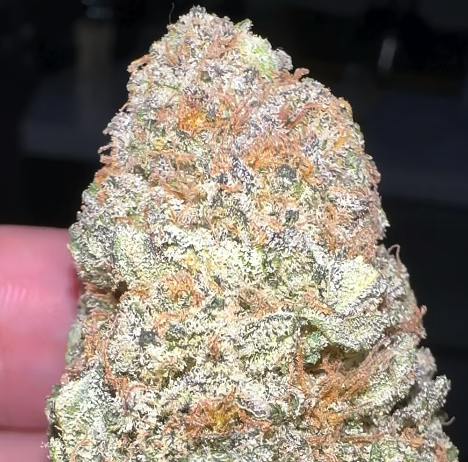 Oklahoma Outlawz 3.5g Flower Zorro 20.07% I