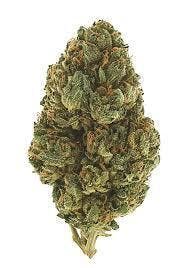 Platinum Papayamosa