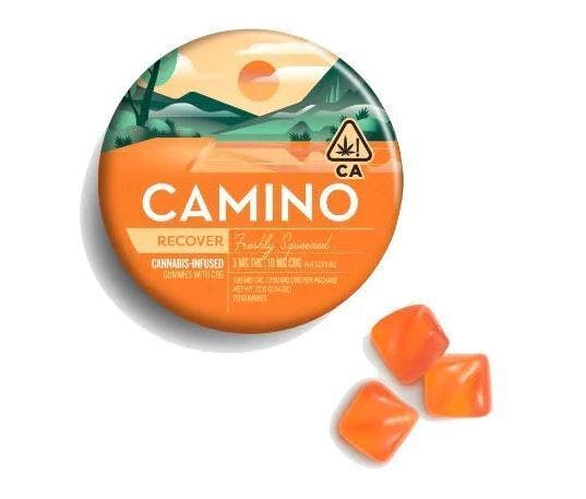 CAMINO — Freshly Squeezed Recover