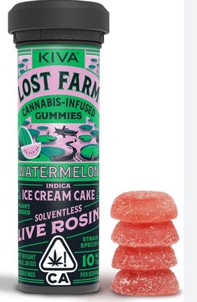 Lost Farm Watermelon: Ice Cream Cake