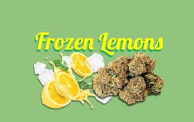 Frozen Lemons - 1/2