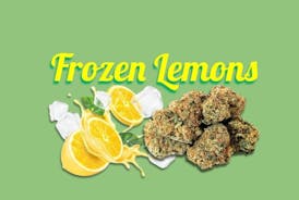 Frozen Lemons - 1/8