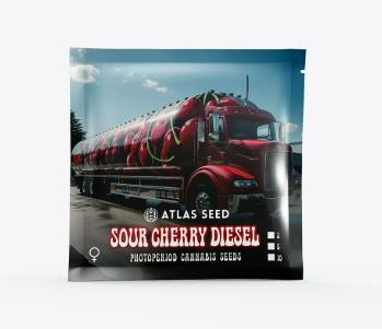 Sour Cherry Diesel - Hybrid - Feminized Photoperiod- 3 Pack - Atlas Seeds at Healing Harvest Dispensary