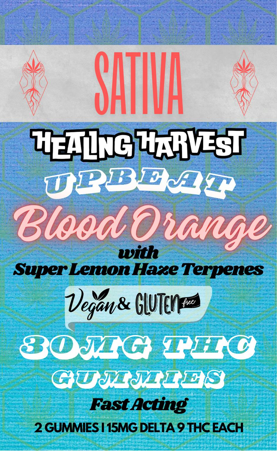 15mg THC Blood Orange + Super Lemon Haze Terpenes Sativa Gummy Wheels - 2 Pack - Healing Harvest at Healing Harvest Dispensary