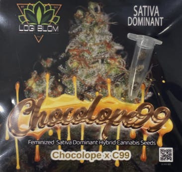 Chocolope99 Feminized Photoperiod Seeds Sativa - 3 pack Highend Genetics at Healing Harvest Dispensary