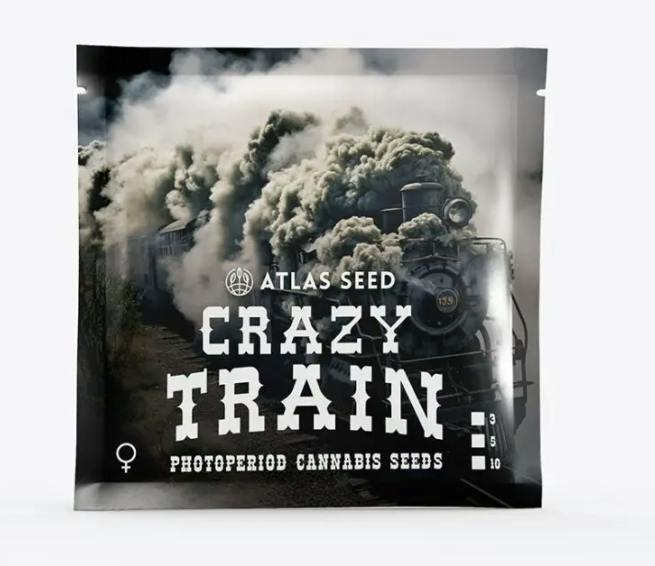 Crazy Train - Sativa - Feminized Photoperiod - 3 Pack Atlas Seeds at Healing Harvest Dispensary