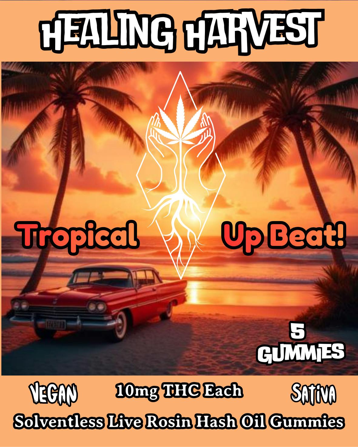 Tropical Upbeat - LIVE ROSIN 10MG Hash Oil Gummies-Five Pack-Healing Harvest at Healing Harvest Dispensary