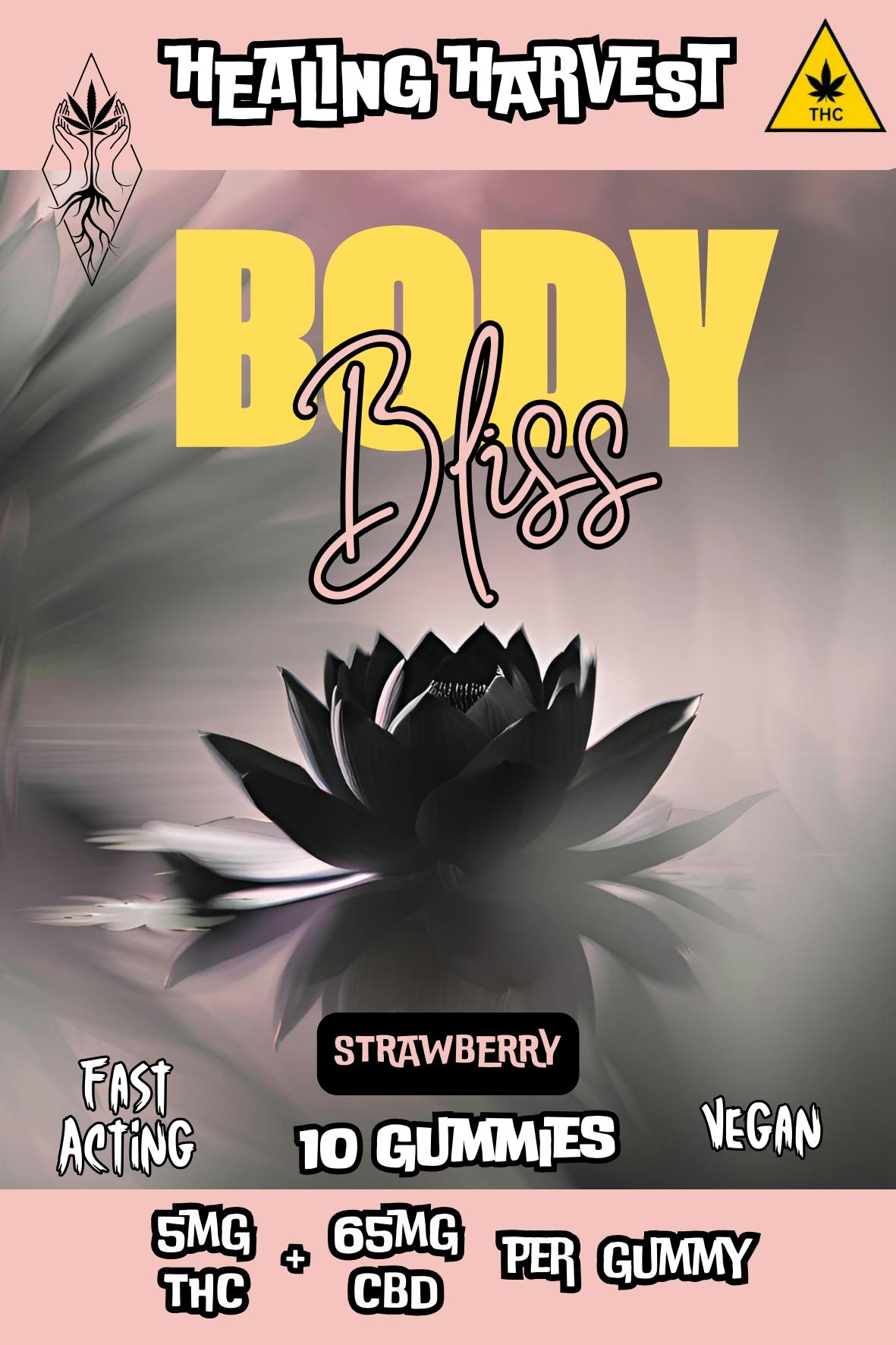 Body Bliss Strawberry 5mg THC + 65mg CBD Gummy - 10 Pack - Healing Harvest