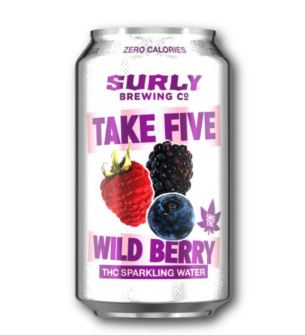 Wild Berry 5mg THC Beverage - Surly Take Five at Healing Harvest Dispensary