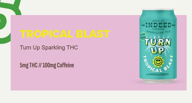 Turn Up Sparkling Tropical Blast 10mg THC + Caffiene and Electrolytes- Indeed Brewing