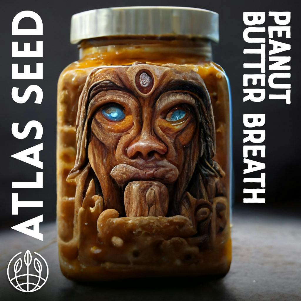 Peanut Butter Breath - Hybrid - Feminized Photoperiod - 3 Pack Atlas Seeds at Healing Harvest Dispensary