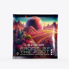 Froot by the Foot - Indica - Feminized Autoflower - 3 Pack Atlas Seeds at Healing Harvest Dispensary