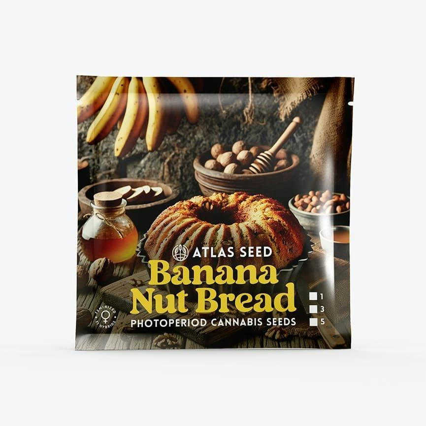 Banana Nut Bread - Indica - Feminized Photoperiod - 3 Pack Atlas Seeds at Healing Harvest Dispensary