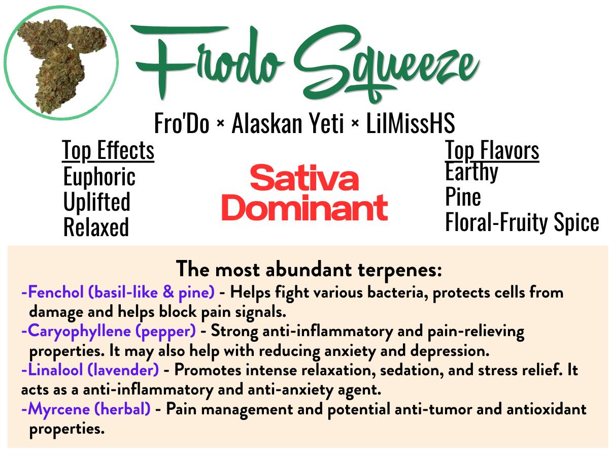 Frodo Squeeze 16.62% Sativa Hybrid Premium Tier Cannabis Deli Flower at Healing Harvest Dispensary
