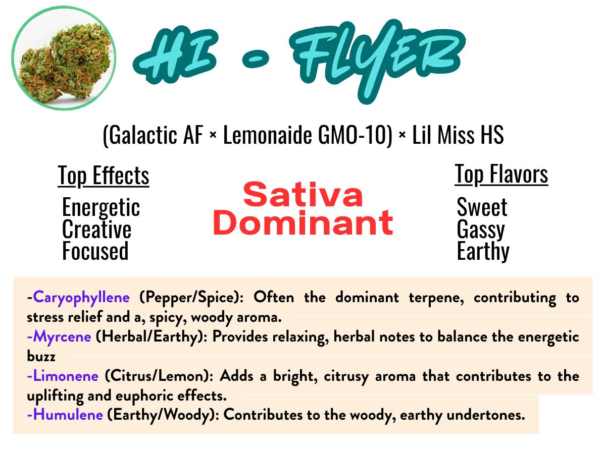 Flor HiFlyer 23.8% - Sativa Dominant - 1/8 Oz Cannabis Flower -Trawa Cannabis at Healing Harvest Dispensary