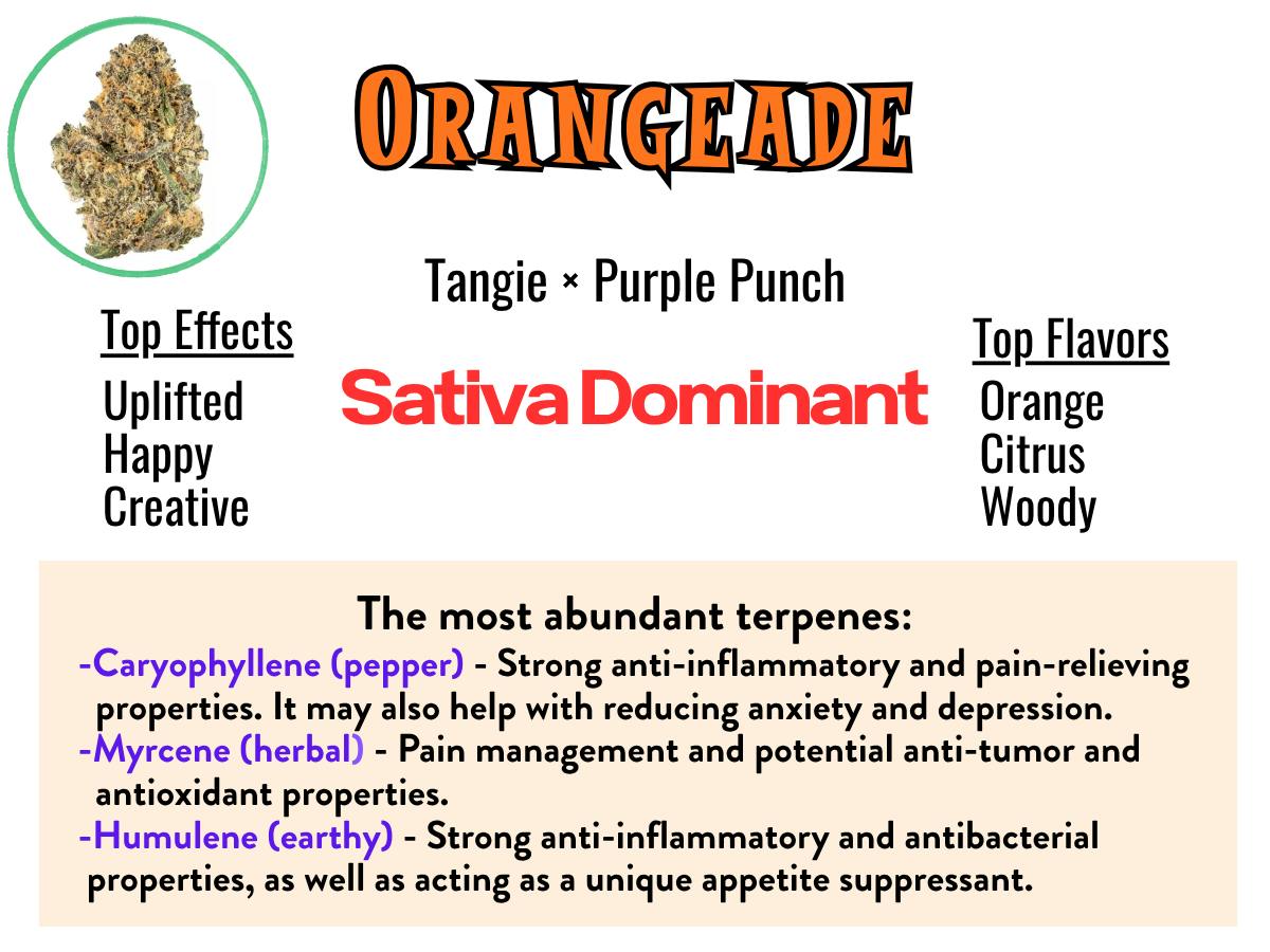 Orangeade 18% Sativa Hybrid Exclusive Tier Cannabis Deli Flower at Healing Harvest Dispensary