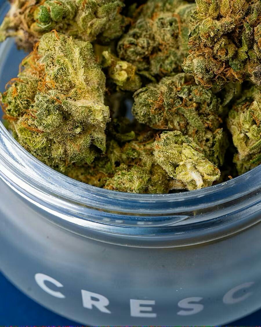 CRESCO | PURPLE CHURRO - PRE PACK POUCH | 3.5G | HYBRID