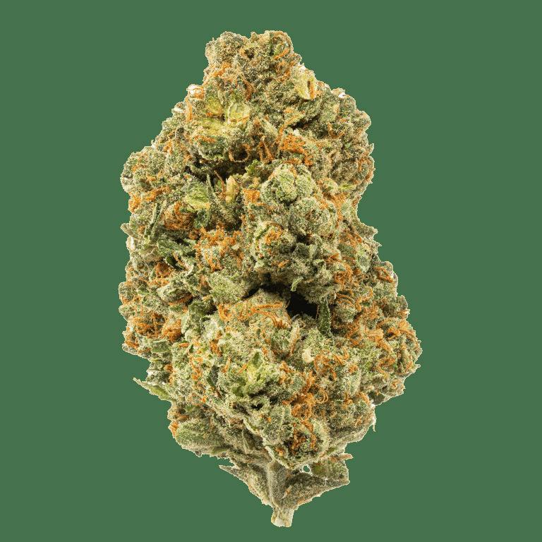 EXOTIC GENETIX | PIXY DUST | SMALLS | BULK | INDICA/HYBRID