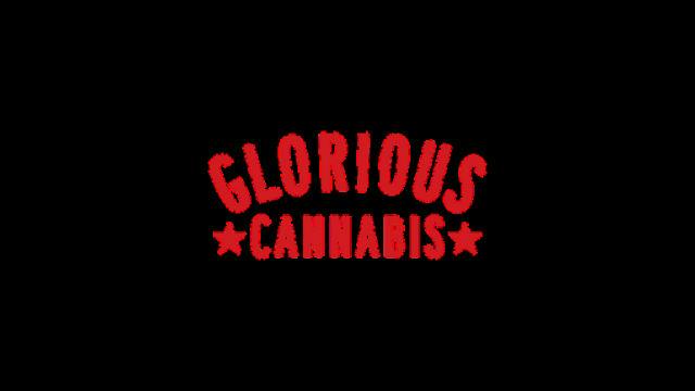 GLORIOUS CANNABIS CO. | PAD THAI | BULK | SATIVA/HYBRID