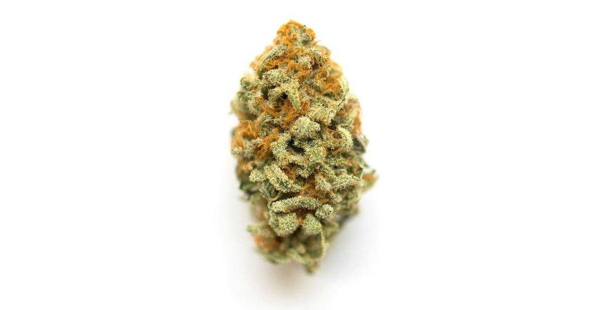 Baby Yoda | Buds