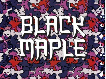 Black Maple | Big Buds