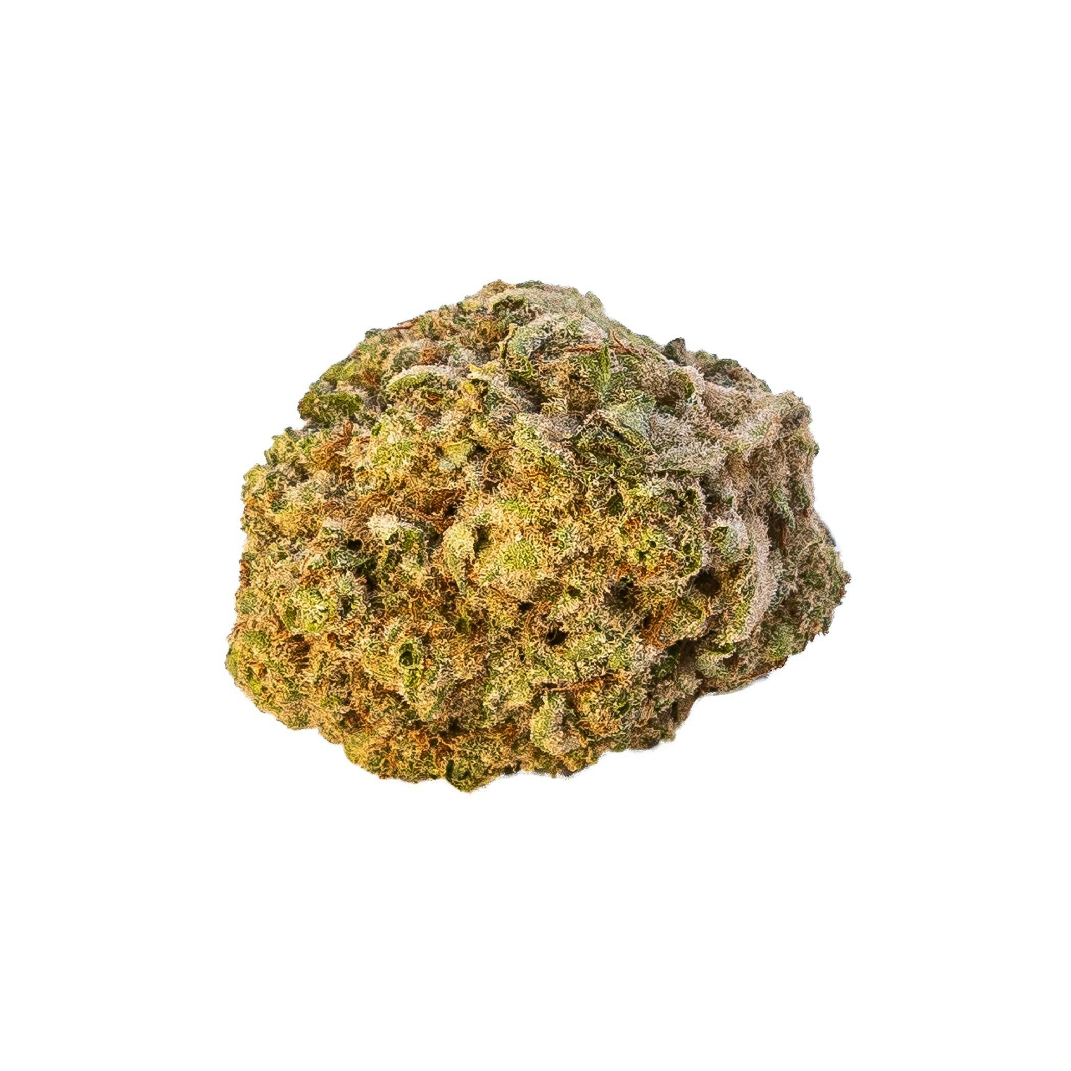 COMMON CITIZEN | MAC N CHEESE | BULK | SMALLS | HYBRID
