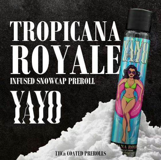 YAYO | TROPICANA ROYALE - SNOWCAP INFUSED PRE ROLL | 1.25G | SATIVA