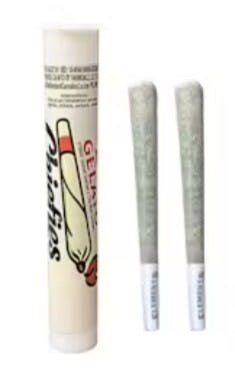 CHIEFIES 2IN1 GELATO PREROLLS