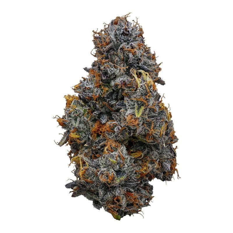 GDF: Flower | Gmo X Oz Kush Bx2
