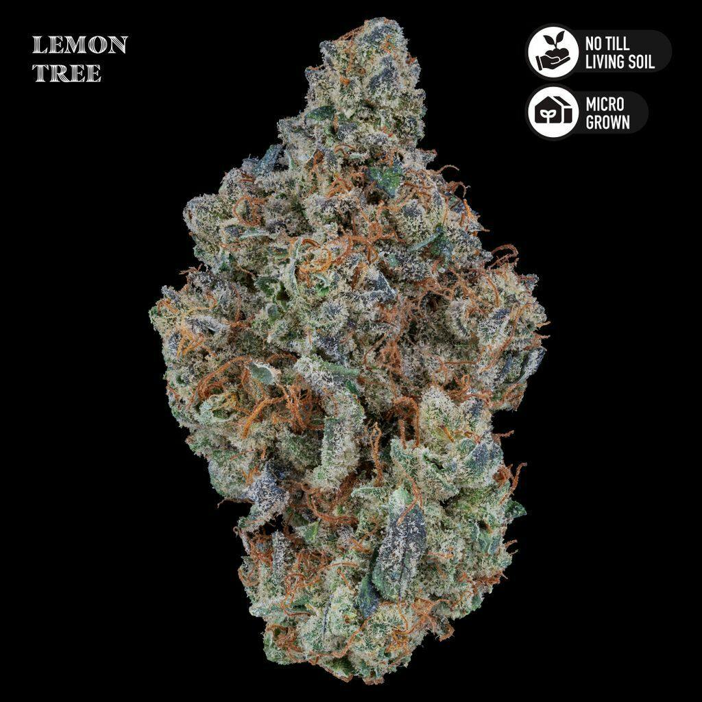Royal Genetics Lemon Tree Whole Flower 3.5g