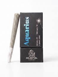 Celestial Aquarius Joint 1g