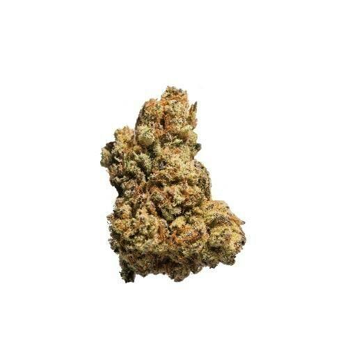 Scotties Cake Whole Flower