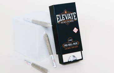 Black Maple Pre-Roll Pack 5g (0.5g ea | 10-Pack)